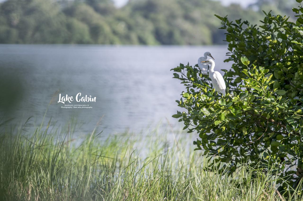 Lake Cabin Полоннарува Екстер'єр фото